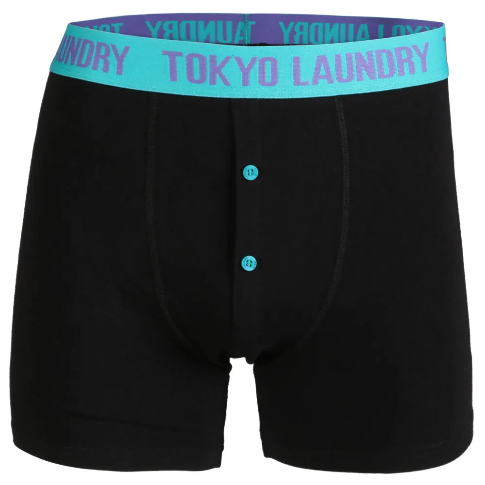 Eaglet (2 pack) Boxer Shorts Set in Purple / Virdian Green  - Tokyo Laundry