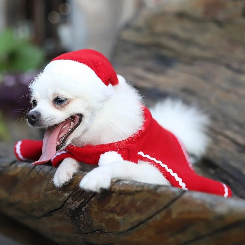 Fashionable Christmas Hat And Cloak Christmas Pet Outfit